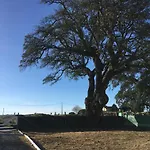 Сasa de vacaciones Herdade Palma T1 Moita (Setubal)