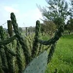 Herdade Palma T1 Moita