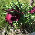 Herdade Palma T1 Сasa de vacaciones Moita (Setubal)