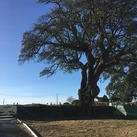 Casa de Férias Herdade Palma T1 Moita (Setubal)