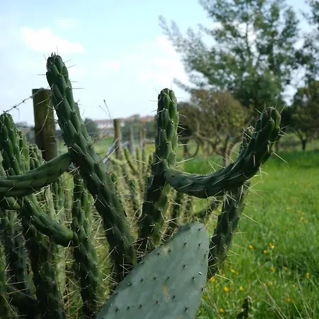 Herdade Palma T1 Moita (Setubal)